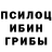 Псилоцибиновые грибы Psilocybe LIDER REKI
