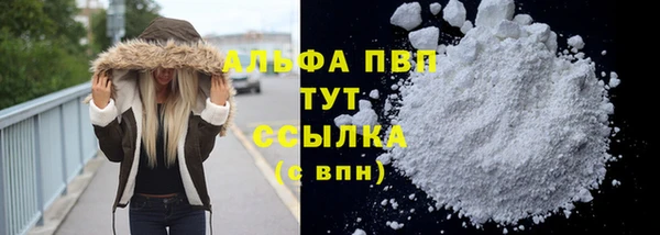 дживик Бронницы