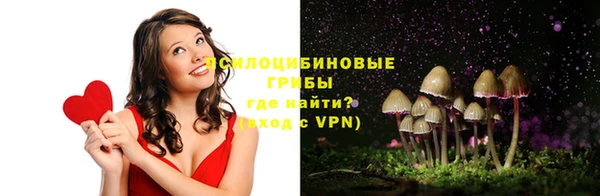 apvp Бородино
