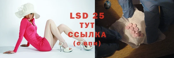 твердый Богородицк