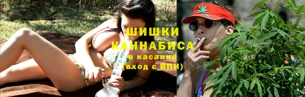 apvp Бородино