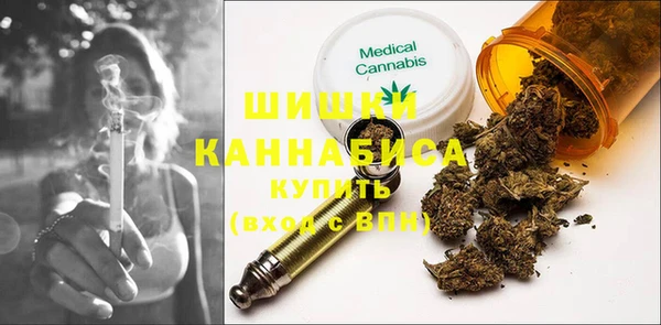 дживик Бронницы