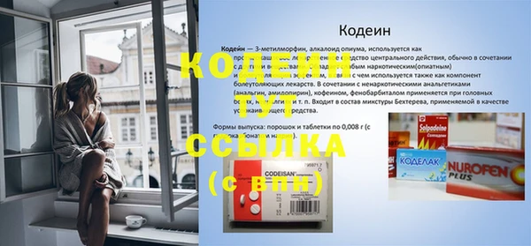 apvp Бородино
