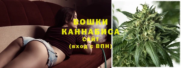 apvp Бородино
